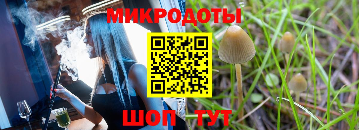 Губкин  Галлюциногенные грибы Cubensis  Вход с VPN 