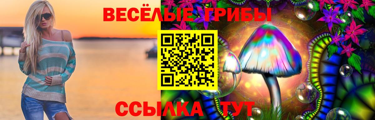 Псилоцибиновые грибы прущие грибы Губкин